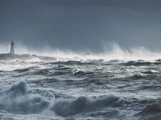 Reader's View: We are making the ocean sick