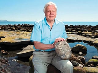 David Attenborough