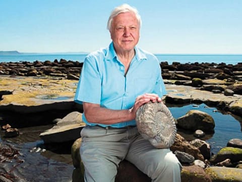 David Attenborough