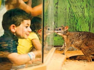 Why you need to take the kids to Dubai's indoor rainforest, The Green Planet