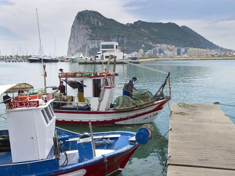 Gibraltar is a poster place, even if just a microcosm, of how vaccinations could bring this pandemic to an end.