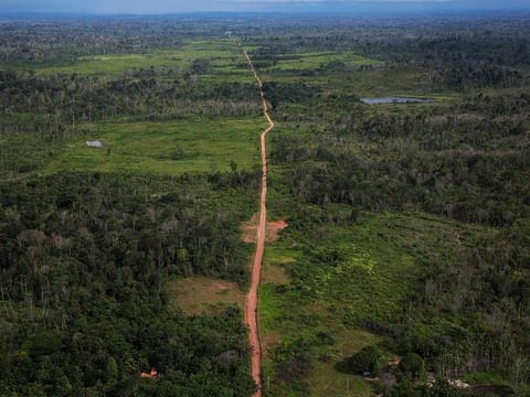 World needs to strengthen the implementation of international environmental law 