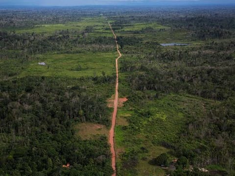 World needs to strengthen the implementation of international environmental law 