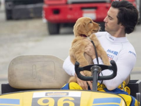 “Enzo” and Milo Ventimiglia in Twentieth Century Fox’s, 'THE ART OF RACING IN THE RAIN'