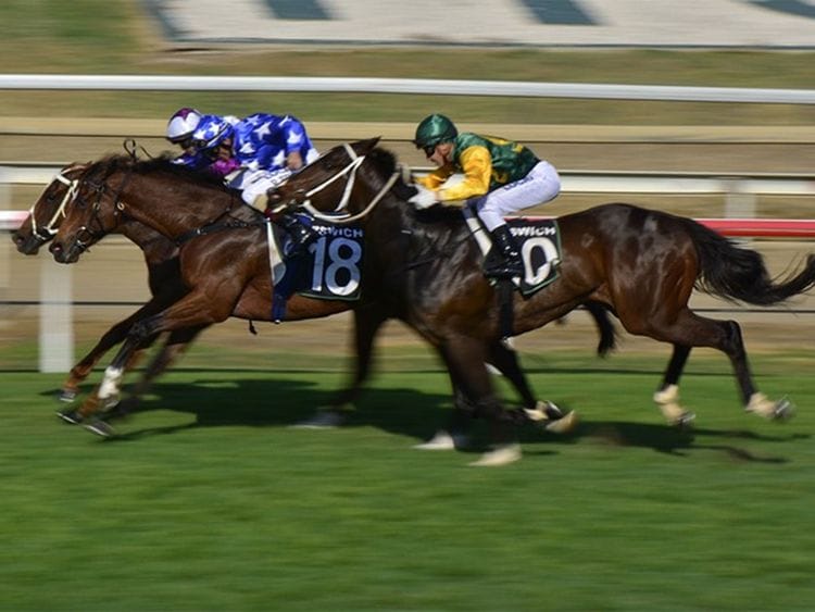 $20 million Saudi Cup a big boost for international horse racing