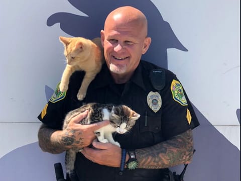 Thanks @MuncieACS for giving our officers a tour of your facility today! Did you know they currently have 350 cats/kittens needing homes? 