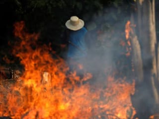 The Amazon Forest is on fire: Why should you care?