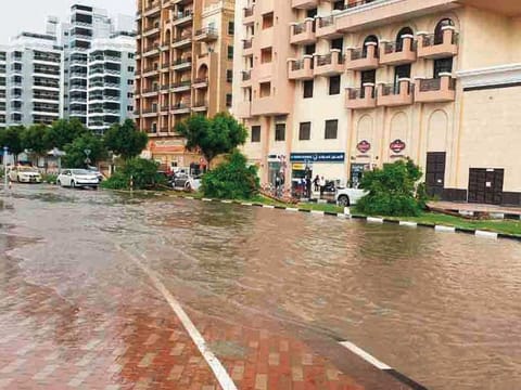 Some trees fell down due to strong wind and rain at Silicon Oasis