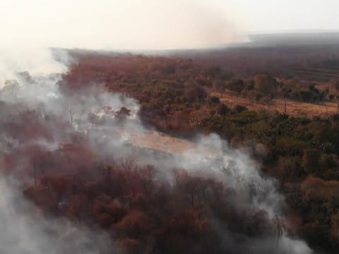 This TV grab shows wildfire near Robore, Santa Cruz region, eastern Bolivia on August 21, 2019 Up to now, wildfires in Bolivia have devastated about 745,000 hectares of forests and pasturelands.