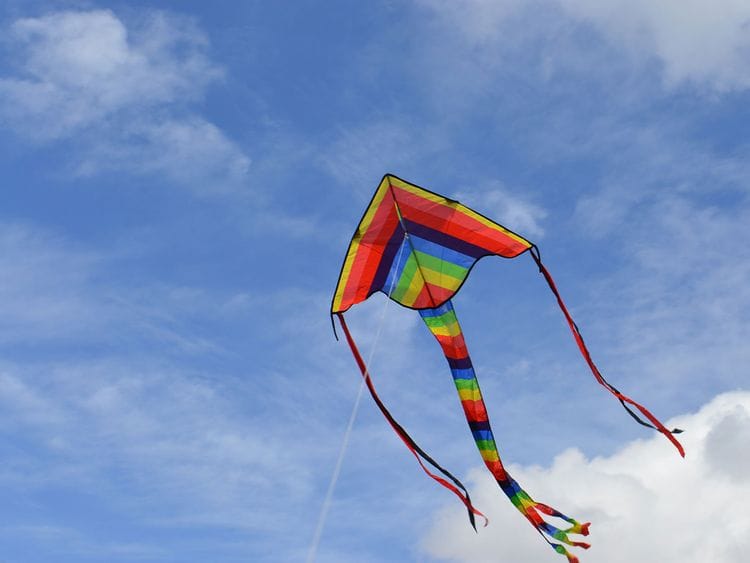 kite generic