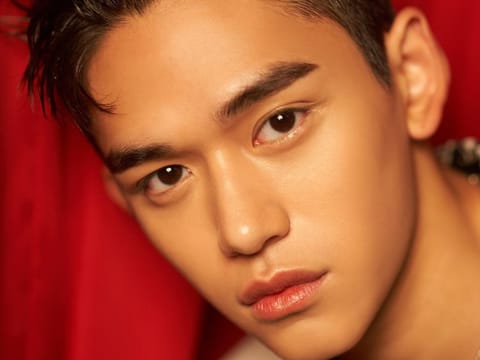 WayV's Lucas.