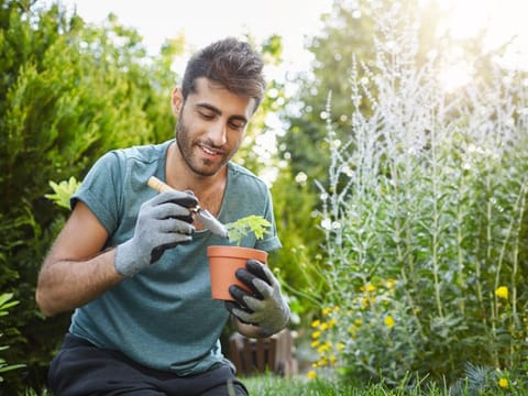 Turns out most people appreciate guerrilla gardeners