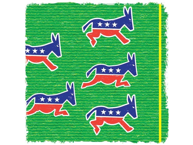 190914 democratic field