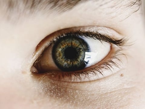 The findings could pave the way for routine eyecare imaging as a disease screening tool. 
