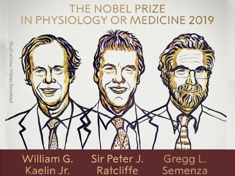 191007 nobel