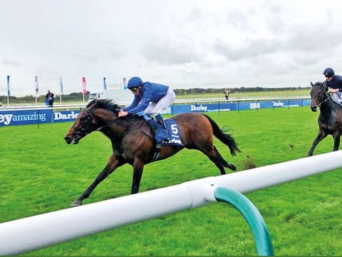 Godolphin's Pinatubo.