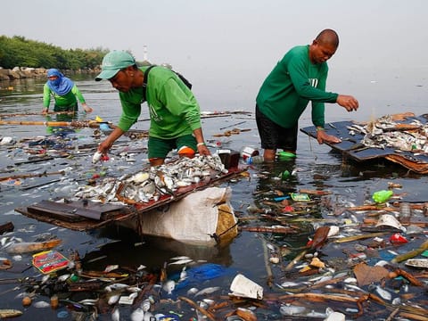 Local government workers gather dead fish for disposal after being washed overnight along the coastline at the reclaimed 'Freedom Island' in suburban Las Pinas city south Manila, Philippines. 
