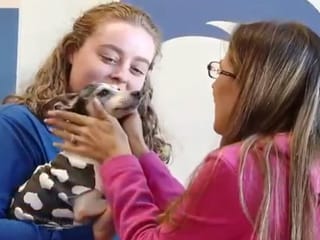 US: Woman reunited with missing dog 12 years later