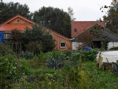 A view of a remote farm where a family spent years locked away in a cellar, according to Dutch broadcasters' reports, in Ruinerwold, Netherlands.