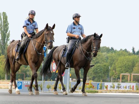 One could be imagining that he is a mounted policeman, like the ones in Canada
