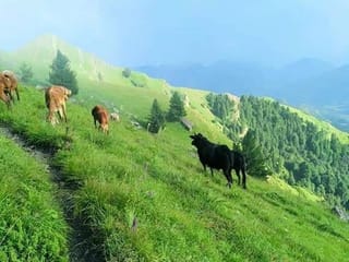 Photos: Gulf News readers' pick of the best travel destinations in Pakistan 