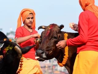 Hindus on the third day of Tihar, the festival of lights, in Kathmandu