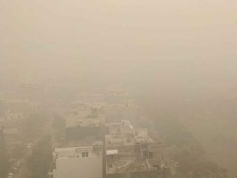  (Delhi pollution social media gallery)