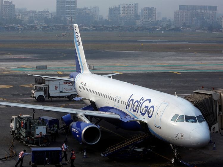 Indigo