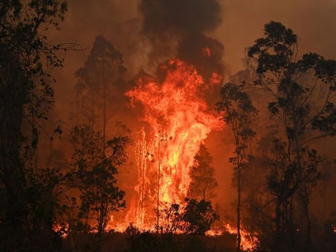 A fire rages in Bobin, 350km north of Sydney on November 9, 2019, as firefighters try to contain dozens of out-of-control blazes that are raging in the state of New South Wales.