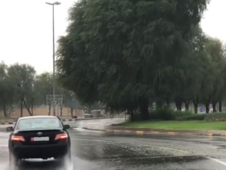 Rain