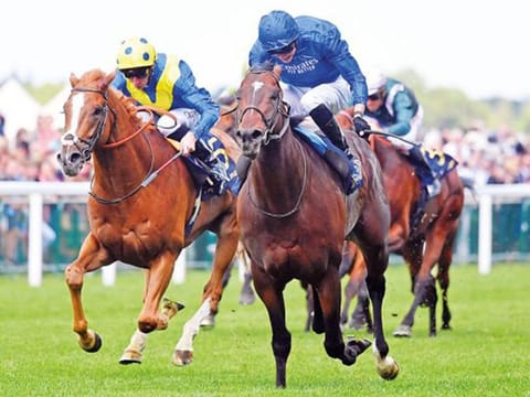 Blue Point won the Cartier Sprinter Award.