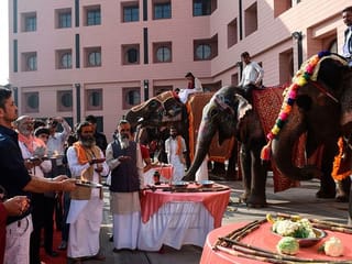 Devotees offer food items to elephants during SPCA campaign
