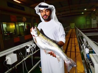 In the deserts of Dubai, salmon farming thrives
