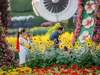Dubai Miracle Garden: A blooming marvel