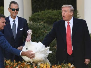 Trump pardons turkeys 'Bread' and 'Butter' with a side of impeachment jokes