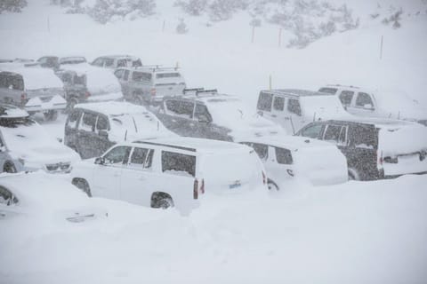 This Tuesday, November 27, 2019 photo provided by the Mammoth Mountain Ski Area shows parked SUVs covered in snow at Mammoth Mountain in Mammoth Mountain, Calif. Blizzard conditions have closed Interstate 5 south of Ashland, Oregon, all the way to the California state line. The Siskiyou Summit at the border on I-5, typically one of the more perilous sections of freeway along the West Coast corridor in wintery weather, had seen 6 inches of new snow with 10 inches packed on the roadside. 