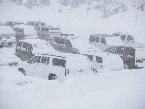 This Tuesday, November 27, 2019 photo provided by the Mammoth Mountain Ski Area shows parked SUVs covered in snow at Mammoth Mountain in Mammoth Mountain, Calif. Blizzard conditions have closed Interstate 5 south of Ashland, Oregon, all the way to the California state line. The Siskiyou Summit at the border on I-5, typically one of the more perilous sections of freeway along the West Coast corridor in wintery weather, had seen 6 inches of new snow with 10 inches packed on the roadside. 