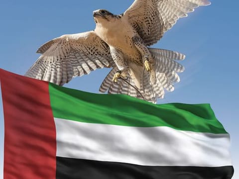 UAE sustainability