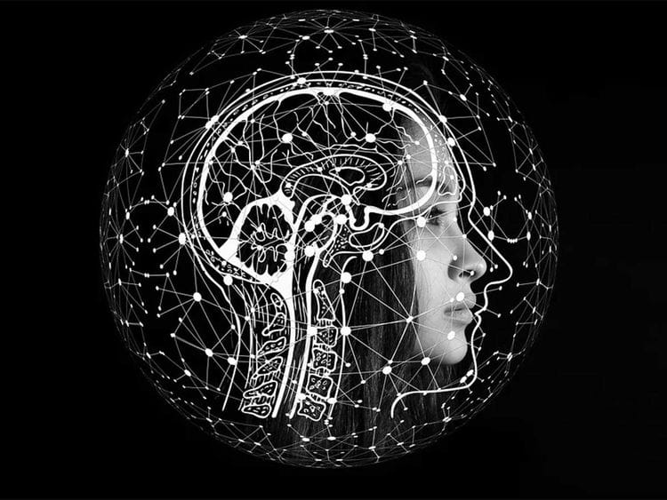 191202 brain networks