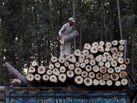 Key export sectors will receive an immediate boost from upcoming tax cuts in Pakistan. File picture shows a worker arrange freshly cut wood on a truck in Charsadda near Peshawar.