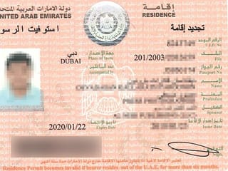 How to find your visa number and other details on your UAE visa