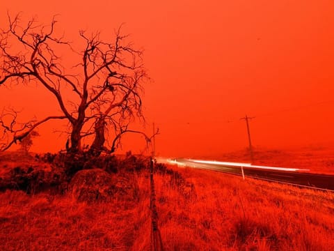 Apocalyptic scenes are playing out across Australia as bushfires have burned millions of acres and ravaged thousands of homes 
