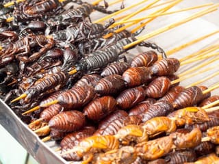 10 weird foods with unusual ingredients from across the world