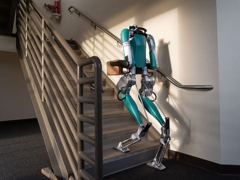 These robots, named Digit, have arms and legs like humans and are designed and programmed to work with humans and in human spaces