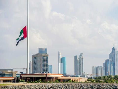 Illustrative file image: Flags across UAE will be at half-mast as per an order from the UAE President