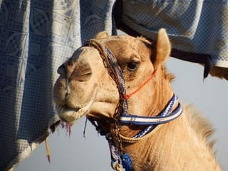 Photos: Gulf News readers share pictures: Life in the UAE