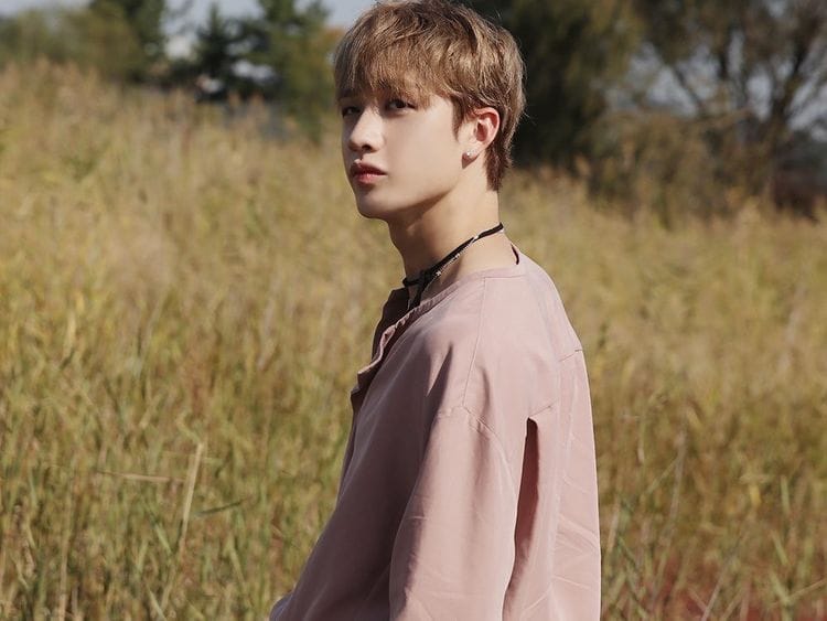 Bang Chan from Stray Kids-1580042203987