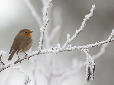 It's hard not to  fall in love with the winter season
