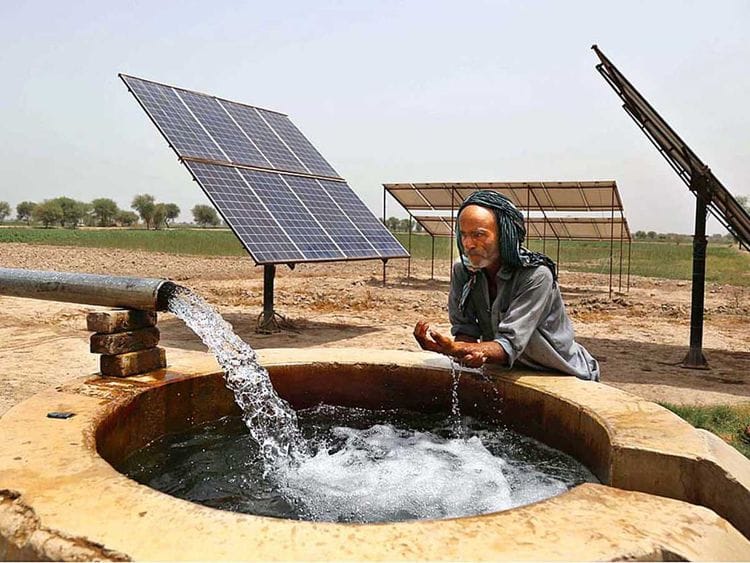 Pakistan farmer