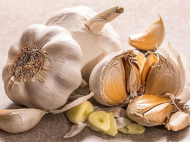 Garlic, generic